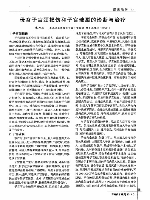 母畜子宫颈损伤和子宫破裂的诊断与治疗