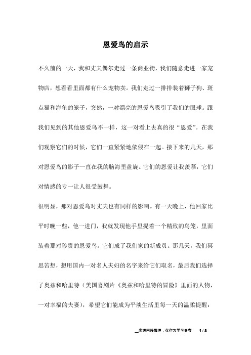 恩爱鸟的启示_人生故事