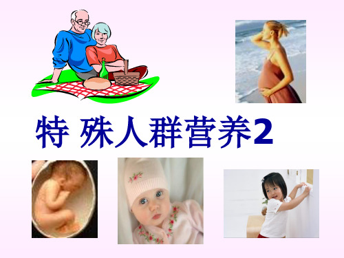 孕妇、乳母、婴儿营养 ppt课件