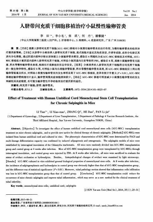 人脐带间充质干细胞移植治疗小鼠慢性输卵管炎