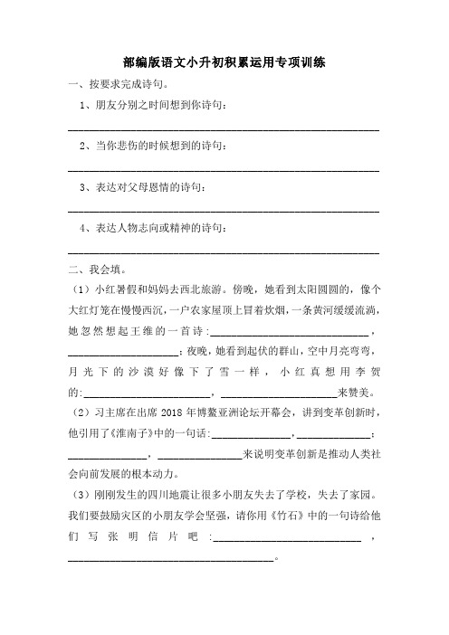 小升初积累运用专项训练(试题)六年级下册语文部编版