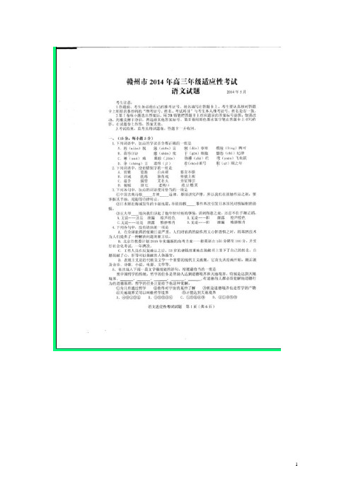 江西省赣州市高三语文5月适应性考试试题(二模,扫描版)新人教版