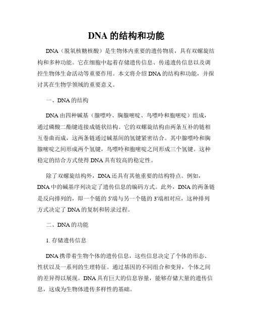 DNA的结构和功能