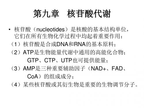 核苷酸代谢