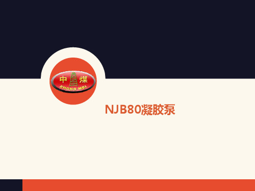 NJB80凝胶泵原理