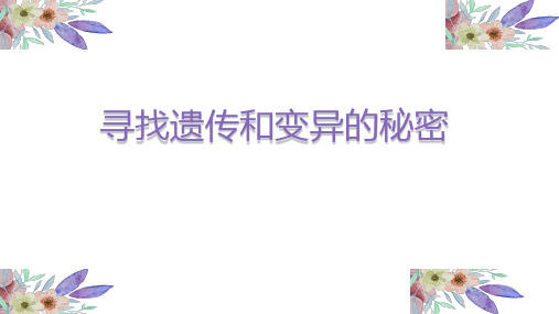 六年级下册科学寻找遗传与变异的秘密苏教版
