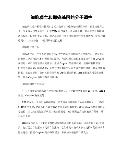 细胞凋亡和抑癌基因的分子调控