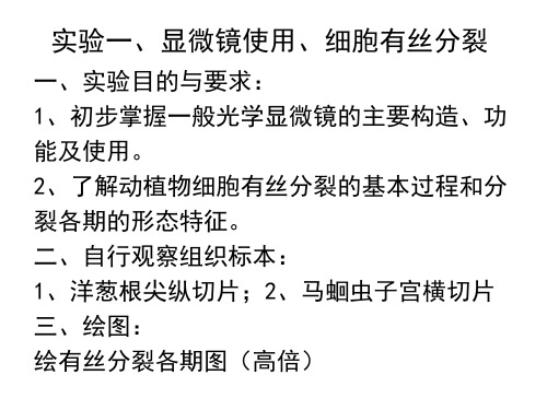 显微镜使用和细胞分裂实验