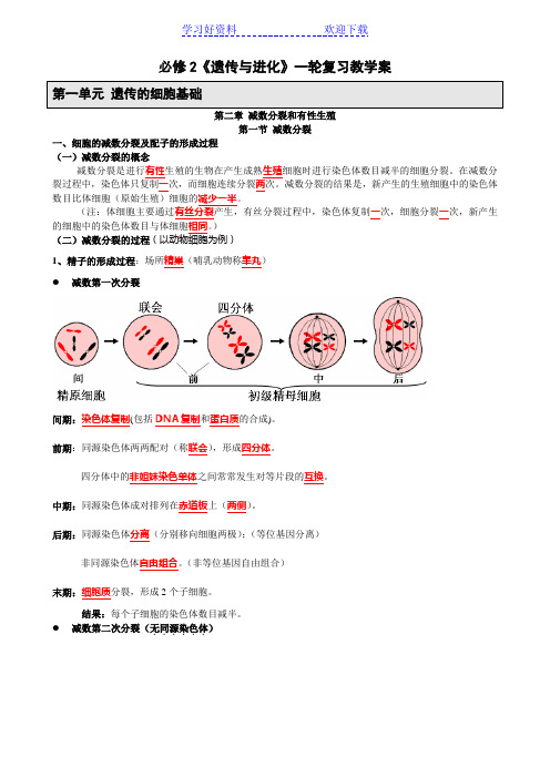 高中生物必修《遗传与变异》第一轮复习知识梳理高一