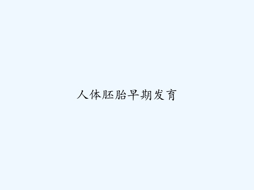 人体胚胎早期发育-