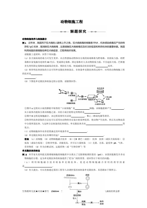 动物细胞工程