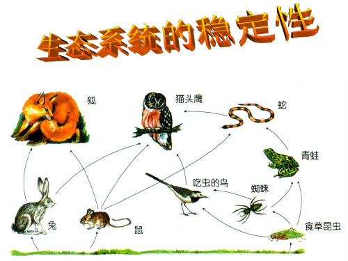 苏教版小学科学六年级下册生态平衡