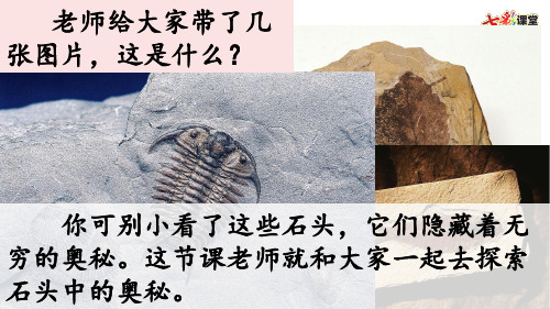 2019年新苏教版三年级下册语文19 石头书