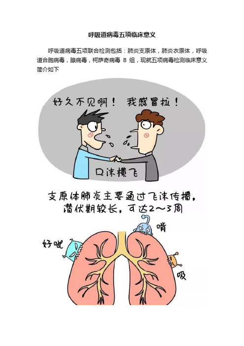 呼吸道病毒五项临床意义