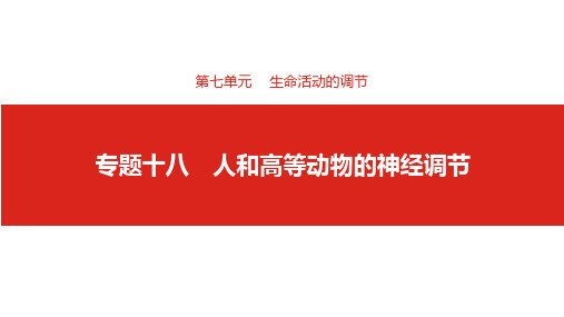 2019届高考生物一轮复习课件：第七单元专题十八 人和高等动物的神经调节 (共73张PPT)