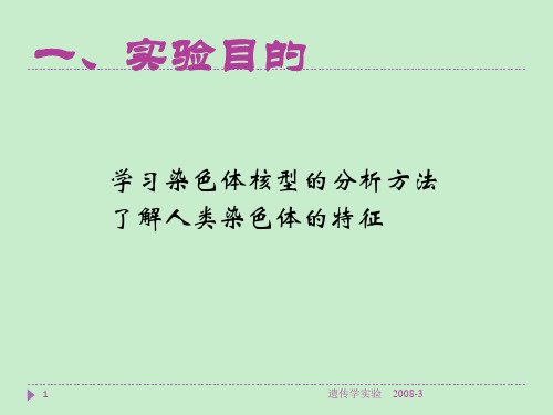 遗传学实验人类染色体的识别及核型分析.ppt