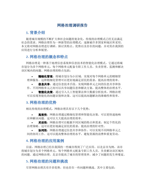 网格治理 调研报告