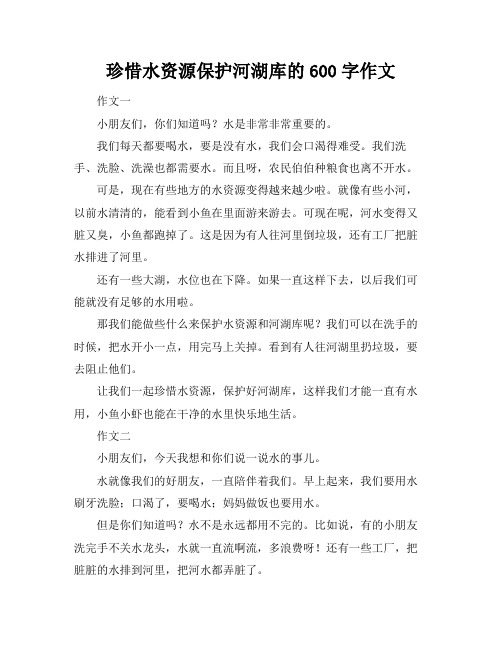 珍惜水资源保护河湖库的600字作文