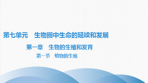 最新人教版八年级下册生物第七单元生物圈中生命的延续和发展第一章生物的生殖和发育第一节植物的生殖