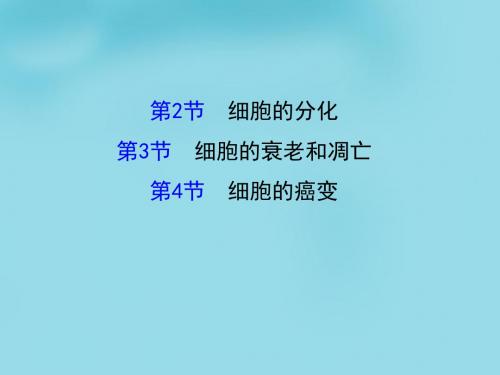 2016高考生物一轮复习 1.6.2-1.6.4细胞的分化、凋亡和癌变课件