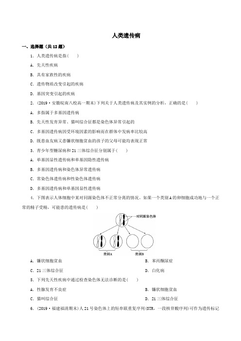 【新】春季高一人教版生物必修二 5.3 《人类遗传病》测试题(含答案)