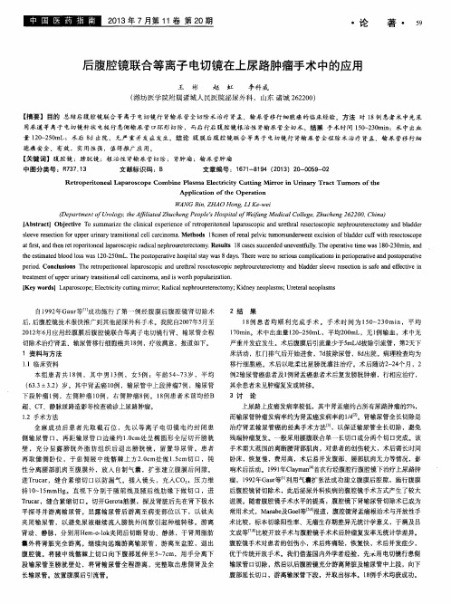 后腹腔镜联合等离子电切镜在上尿路肿瘤手术中的应用