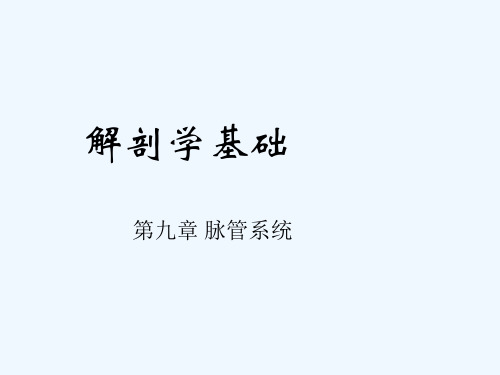 第九章 脉管系统 解剖学基础中职课件