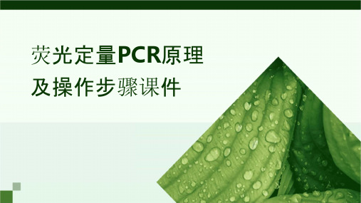 荧光定量PCR原理及操作步骤.课件