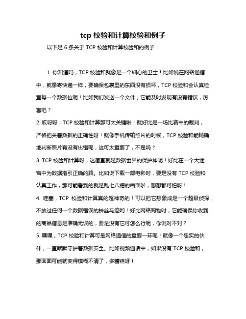 tcp校验和计算校验和例子