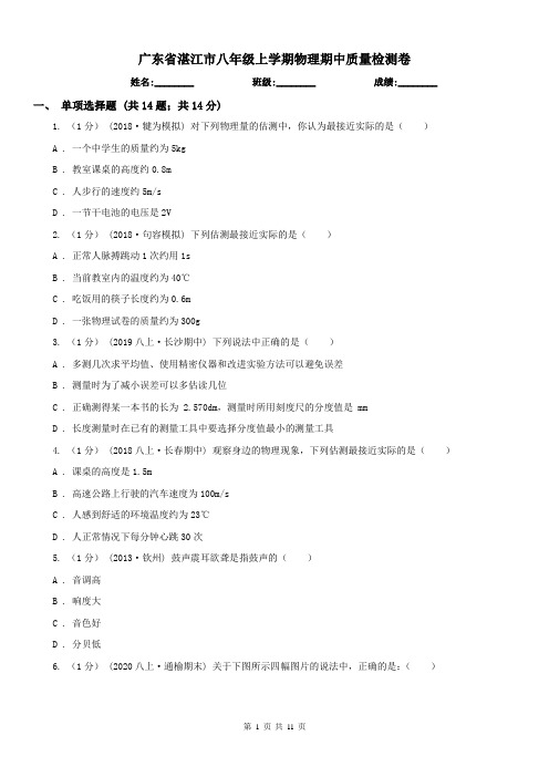 广东省湛江市八年级上学期物理期中质量检测卷