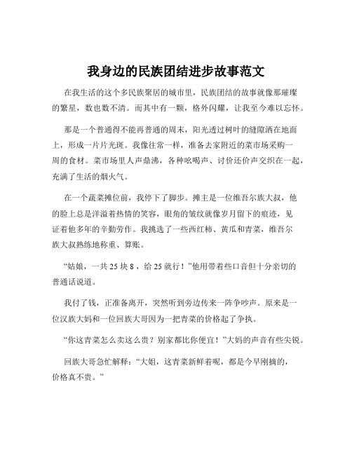 我身边的民族团结进步故事范文