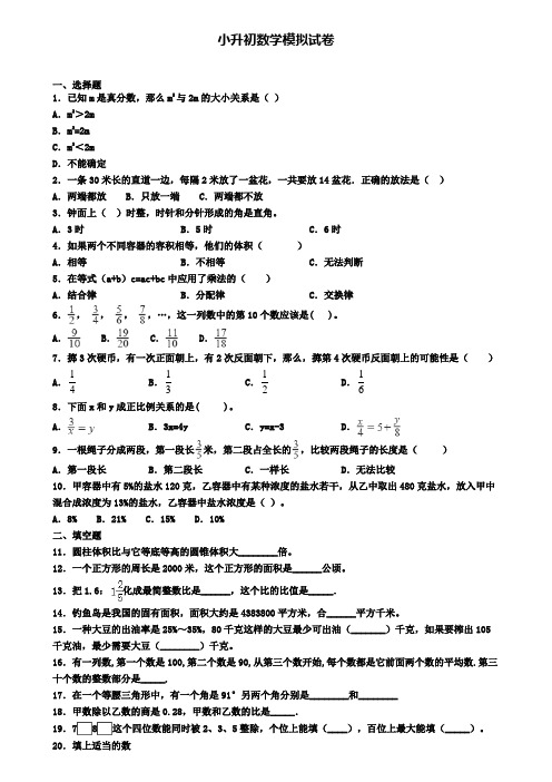 〖精选4套试卷〗安徽省淮北市2020年小升初质量检测模拟试题