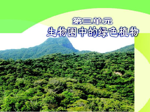 《藻类、苔藓和蕨类植物》_PPT-优秀版