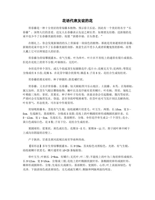 花语代表友谊的花