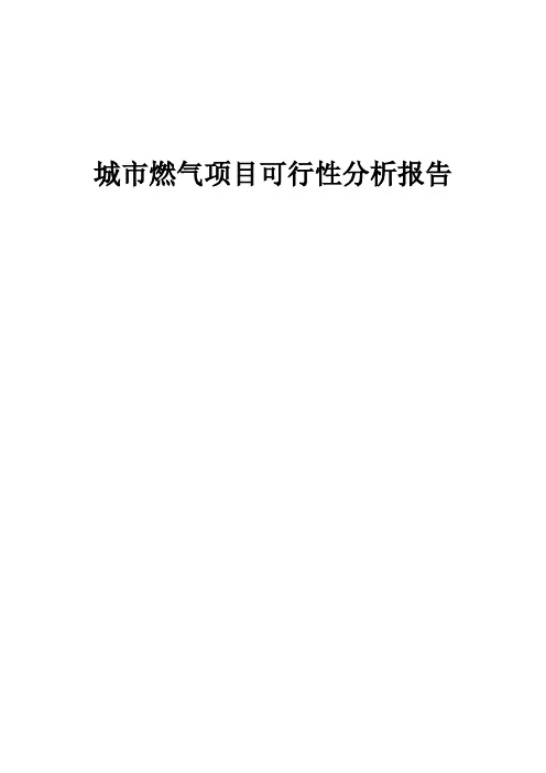 2024年城市燃气项目可行性分析报告