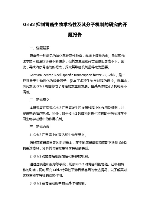 Grhl2抑制胃癌生物学特性及其分子机制的研究的开题报告