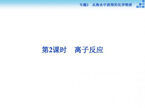 2020苏教版化学必修1 专题2 第2单元 第2课时 离子反应