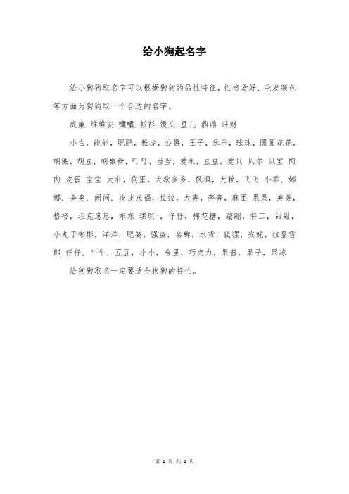 给小狗起名字