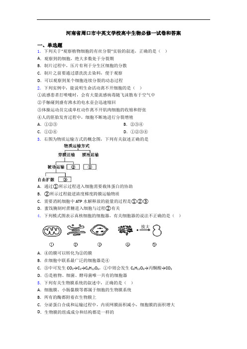 河南省周口市中英文学校高中生物必修一试卷和答案