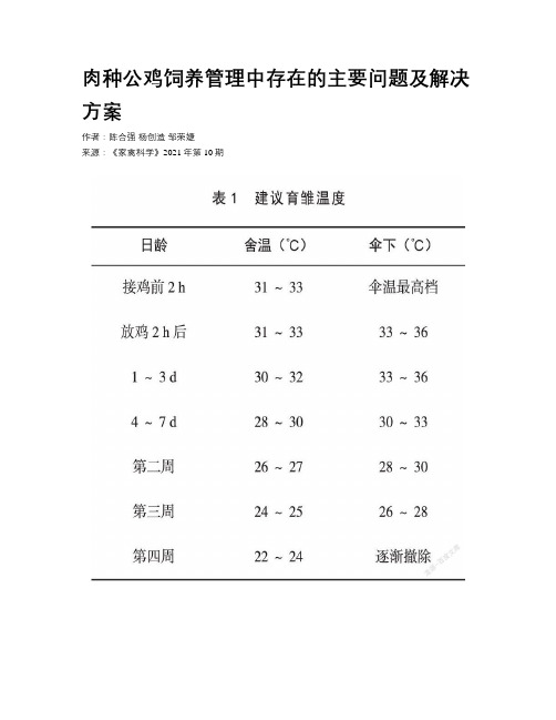 肉种公鸡饲养管理中存在的主要问题及解决方案