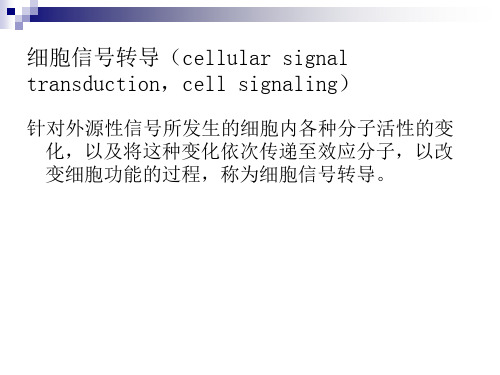 细胞信号转导基础