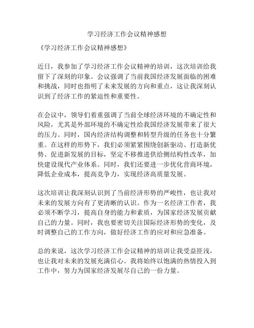 学习经济工作会议精神感想