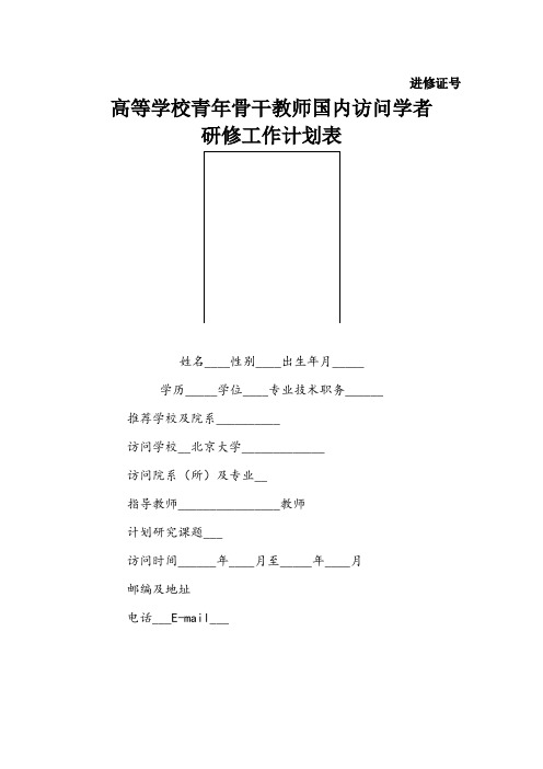 高等学校青年骨干教师国内访问学者研修工作计划表填写示例