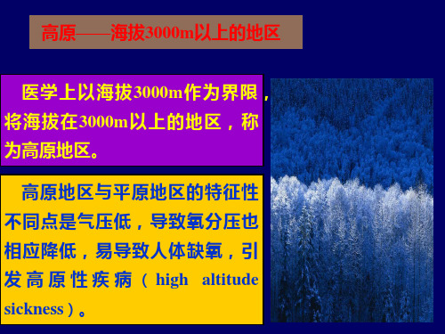 高原海拔3000m以上的地区