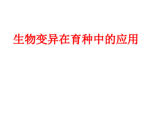 高考生物一轮复习生物变异在育种中的应用(公开课)课件(25张)