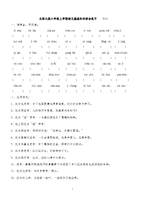 北师大版六年级上学期语文基础知识综合复习