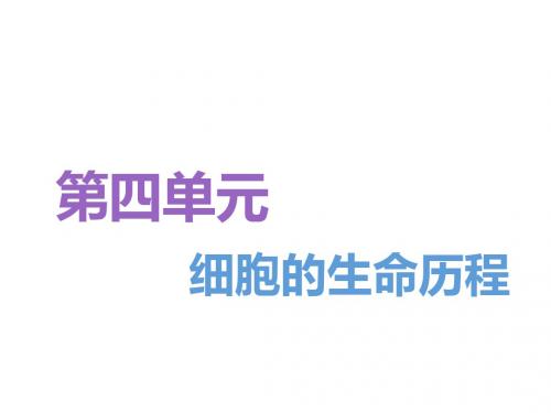 2019届 一轮复习人教版 细胞的增殖 课件