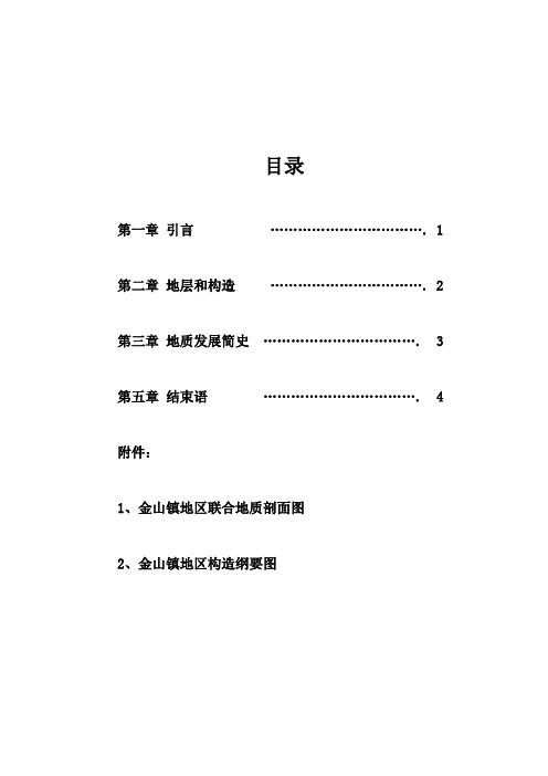 金山镇的地质报告