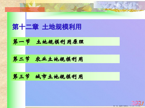 第十一章  土地规模应用ppt课件