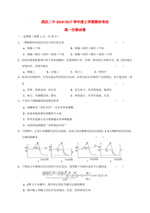 湖北省武汉市第二中学2016-2017学年高一生物上学期期末考试试题